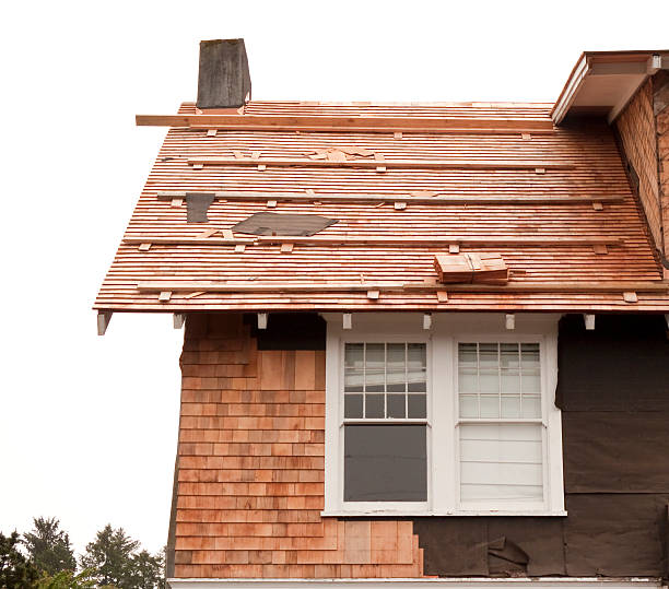 Best Historical Building Siding Restoration  in Springfield, TN